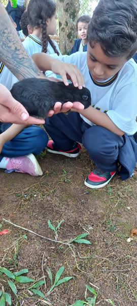Bicho Mania 2022